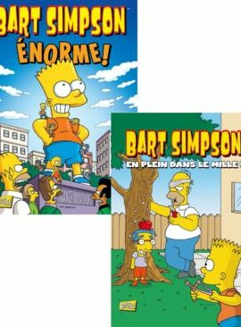 Pack Bart Simpson T08+T13